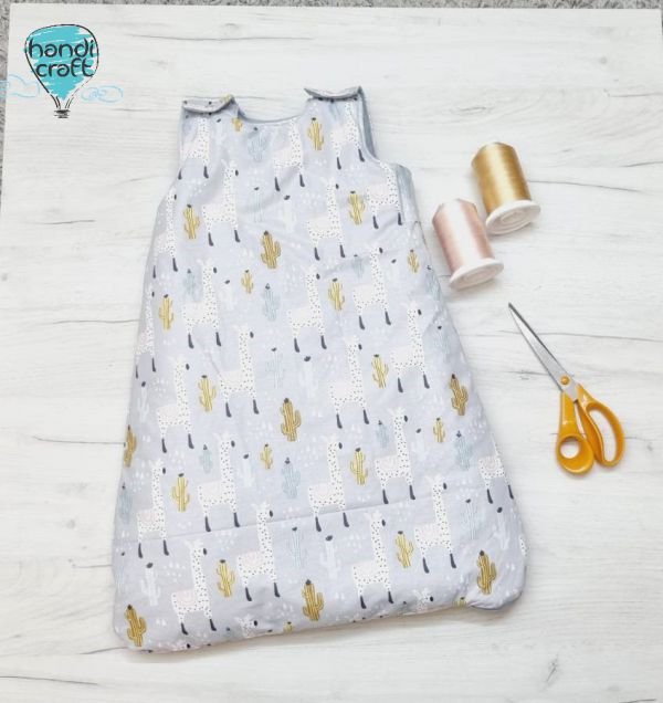 საძილე ტომარა კაქტუსებით