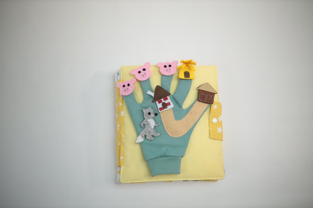 განმავითარებელი წიგნი ხელთათმანის ყდით